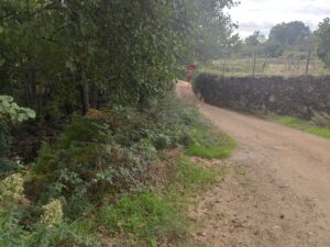 Lazo rojo para caminantes despistados